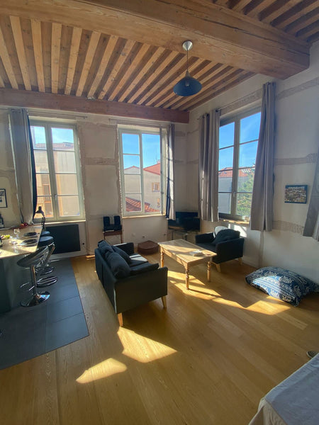 Très bel appartement récemment rénové, idéalement situé en haut des pentes, à 10 Lyon, France Loft lumineux Canut au cœur de la Croix-Rousse Entire rental unit vacation rental 724623272955711615