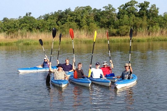 Delta Wildlife Kayak Tour  Private Tours and Travel Guide America Chicago CITY Mobile Destination Tour