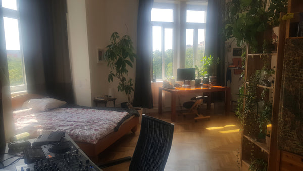 Ein 30m2 großes und geräumiges von allen Seiten sonnendurchflutetes Zimmer mit h Vienna, Austria Sunny big room directly at a park close to center Private room in rental unit vacation rental 36316936