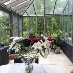 Merveilleux appartement, situe dans un havre de paix vert et lumineux au coeur d Brussels, Belgium Appartement lumineux dans un jardin merveille. Entire condo vacation rental 49763799