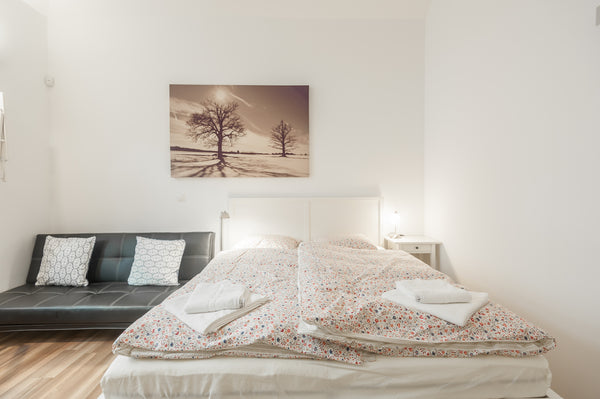 Very nice, cozy and newly renovated apartment in the city center of Prague, in a Prague, Czechia Cozy, new apartment in Prg. center Entire rental unit vacation rental 9197334