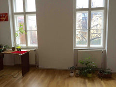 The room is big and light with a view of park. In an old Viennise haus of 1900.   Room in an old viennise appartmant near the center Private room in rental unit vacation rental 30306026