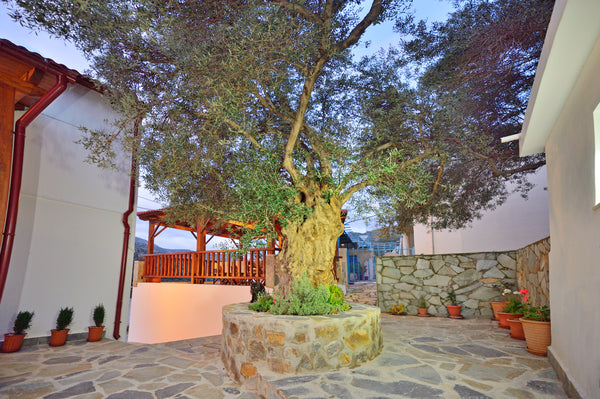 Plokamos house is a recently renovated summer retreat which houses three semi de Plokamiana, Greece Plokamos House - Alexander. A Cretan Experience! Entire cottage vacation rental 54100734