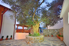 Plokamos house is a recently renovated summer retreat which houses three semi de Plokamiana, Greece Plokamos House - Alexander. A Cretan Experience! Entire cottage vacation rental 54100734