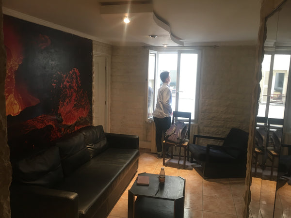 Je laisse pendant les vacances ma chambre dans un appartement moderne de 65m2 ru Paris, France Chambre appartement Gare de l'Est/Canal StMartin Private room in rental unit vacation rental 21446210