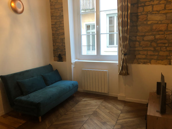 Studio entièrement rénové de 28m² (dont 8 m² en mezzanine dont 3 < 1m80). Situé  Bonnefamille, France Duplex de charme Lyon 1er Entire rental unit vacation rental 51483668
