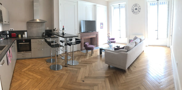 Charmant appartement lyonnais sur les quais du rhone, en plein centre ville, imm Lyon, France Cosy Lyonnais Entire rental unit vacation rental 29539707