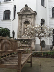 Diese farbenfrohe Wohnung im Herzen der Wiener Altstadt lädt zum Relaxen und Erk Vienna, Austria Farbenfrohe Ruheoase im Herzen der Stadt Entire rental unit vacation rental 637045723385198354