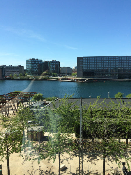 Spacious (117 m2) and beautiful 3rd floor water view apartment with 1 large bedr Copenhagen, Denmark Beautiful water front flat in central Copenhagen Entire rental unit vacation rental 19004862