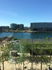 Spacious (117 m2) and beautiful 3rd floor water view apartment with 1 large bedr Copenhagen, Denmark Beautiful water front flat in central Copenhagen Entire rental unit vacation rental 19004862