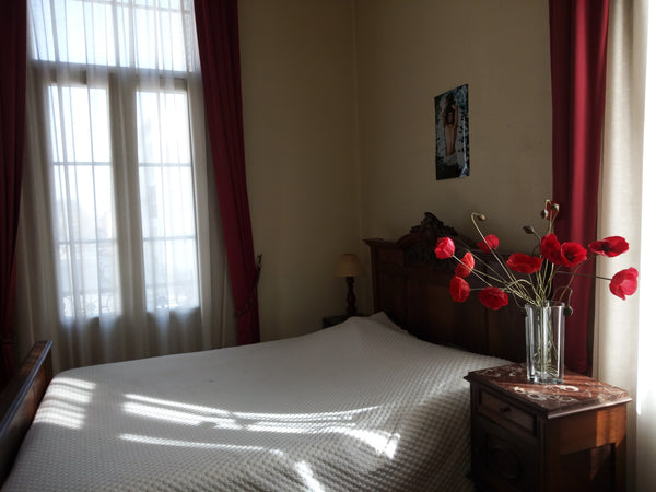 Je vous accueille dans une grande chambre lumineuse. L'appartement est confortab Bordeaux, France Chambre lumineuse à 300m de la Gare St Jean Private room in rental unit vacation rental 9249642