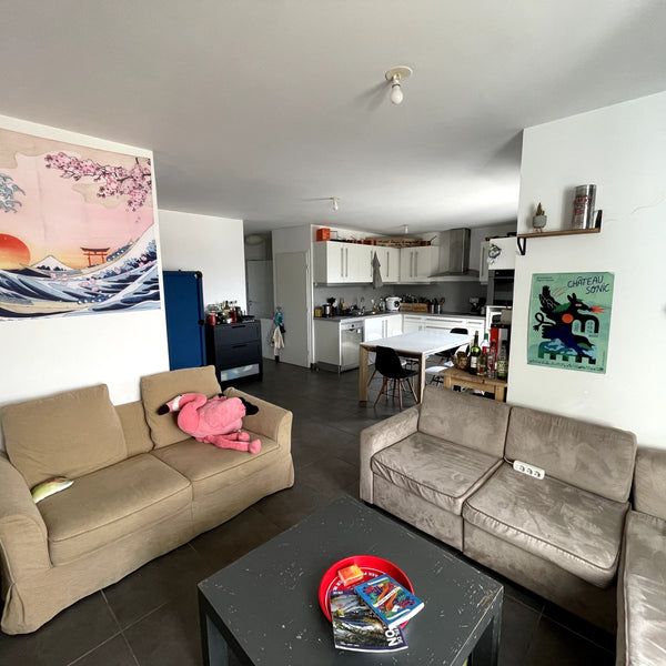 Bonjour, <br /><br />Je suis actuellement en colocation et je souhaite louer ma  Lyon, France Appt avec grande terrasse proche Jean Mace Private room in condo vacation rental 744666014684044897