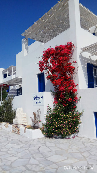 Located 100 meters from the Logaras sundy beach ,.Piso Livadi and Marpissa vilag Paros, Greece Nicos studio B Entire serviced apartment vacation rental 42125142