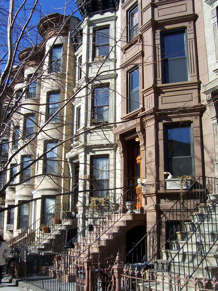 New York, NY Rental unit in Brooklyn · ★4.88 · 2 bedrooms · 5 beds · 1.5 baths Entire rental unit vacation rental 1013648