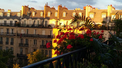 Your bedroom has direct access to the balcony by 2 french windows, giving marvel Paris, France A balcony in Paris - Châtelet-les halles quartier Private room in rental unit vacation rental 19355794