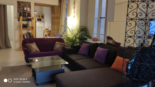 Logement ENTIER pour la fête des lumières.<br />Grand studio de 45 m² avec mezza  Logement au cœur du Vieux Lyon Private room in rental unit vacation rental 765909719693240468