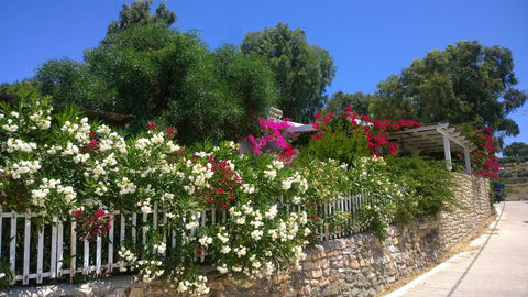 Antica casa di pescatori  che conserva tutto il suo fascino grazie ad un attenta Milan, Italy LIPSI HOUSE  CHARMING 3 BED 3 BATH Entire home vacation rental 7667804