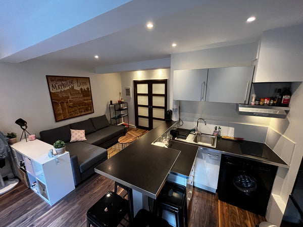 Logement de prestige en plein centre de la presqu’île Lyonnaise, dans la célèbre Saint-Galmier, France Appartement de 50m2 rue Mercière, Lyon 2ème Entire rental unit vacation rental 712235518479609812