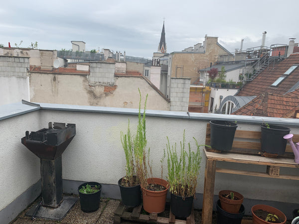 Von dieser zentral gelegenen Unterkunft aus seid ihr in Nullkommanichts an allen  Nice room for 2PAX near the main train st-n, metro Private room in rental unit vacation rental 703517852881138322