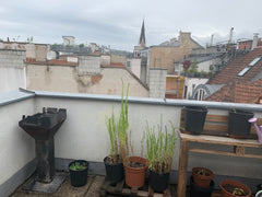 Von dieser zentral gelegenen Unterkunft aus seid ihr in Nullkommanichts an allen  Nice room for 2PAX near the main train st-n, metro Private room in rental unit vacation rental 703517852881138322