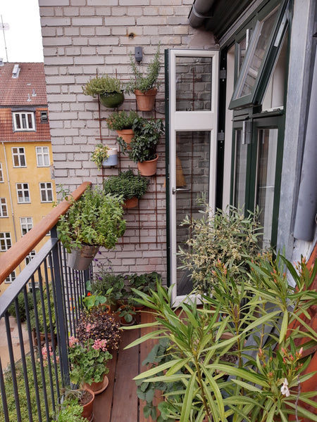 Bright and spacious apartment located close to hip and lively Christianshavn and Copenhagen, Denmark Bright and spacious apartment with sunny balcony Entire condo vacation rental 50721057