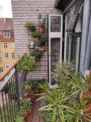 Bright and spacious apartment located close to hip and lively Christianshavn and Copenhagen, Denmark Bright and spacious apartment with sunny balcony Entire condo vacation rental 50721057