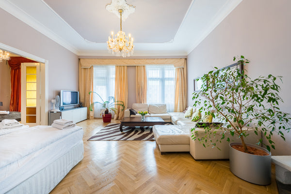 Modern and cosy apartment right in the center of Prague.<br /><br /><b>The space Prague, Czechia Wenceslas Square Apartment Entire rental unit vacation rental 16214609