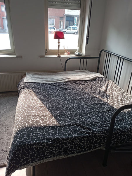 Ravissante chambre lumineuse dans un immeuble calme. Idéale pour les voyages d'a Brussels, Belgium Bruxelles. Superbe chambre privée. Particulier Entire rental unit vacation rental 586901537474241916