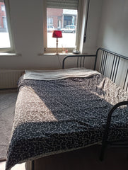 Ravissante chambre lumineuse dans un immeuble calme. Idéale pour les voyages d'a Brussels, Belgium Bruxelles. Superbe chambre privée. Particulier Entire rental unit vacation rental 586901537474241916