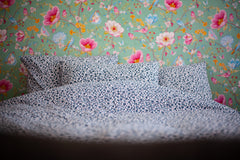 Chambre d'hôtes dans une maison typiquement bruxelloise située dans un quartier  Watermael-Boitsfort, Belgium Chambre d'hôtes au coeur de Bruxelles Private room in bed and breakfast vacation rental 33866959