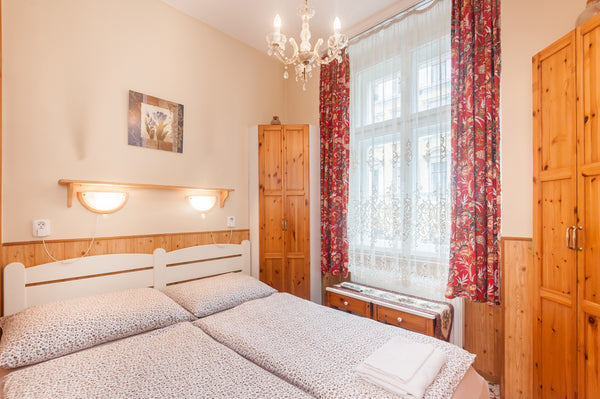 Lovely central apartment for two with equipped kitchen, bathroom and free WiFi.  Czechia Central Apt w Kitchen, WiFi, Cleaning, Reception Entire serviced apartment vacation rental 15014165