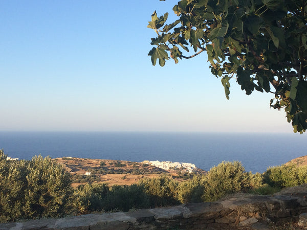 Marilia house is a beautiful secluded traditional built in one level. It is surr Athens, Greece Marilia Secluded Country House Cycladic home vacation rental 14086276