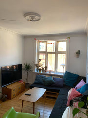 Small charming apartment in the heart of Vesterbro. Only 200m from the central s  Bright apartment, 200m from central station Entire rental unit vacation rental 42862551