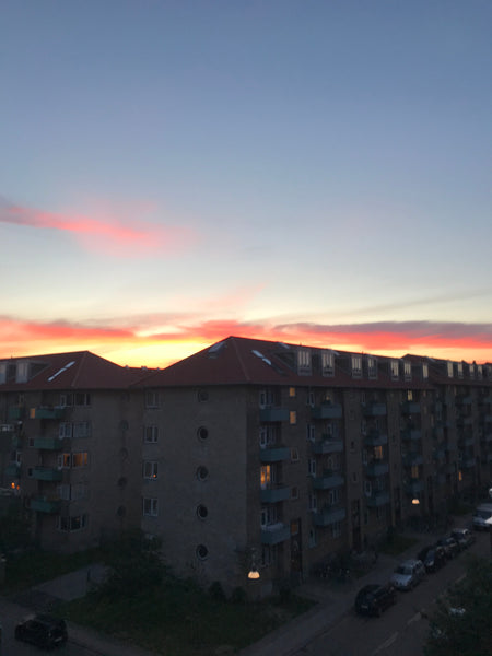 Cozy apartment located in outer nørrebro. The neighboorhood is one of the most c Copenhagen, Denmark Cozy 2 room penthouse apartment in chiq Cph NV Entire rental unit vacation rental 43976237