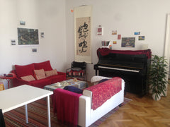 Come visit the beautiful city of Vienna and make yourself at home in the large,  Vienna, Austria Big Room in Flatshare, very central Shared room in rental unit vacation rental 8714597