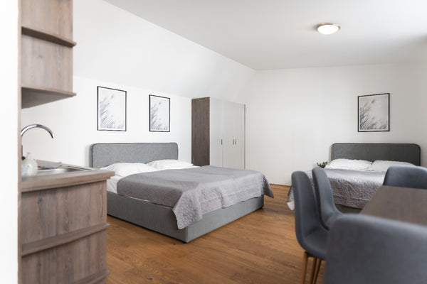 New mordern apartments, just after renovation.<br /> Fully equiped room with kit  Amasing spacios family apartment in Vienna Entire rental unit vacation rental 675339112957666242
