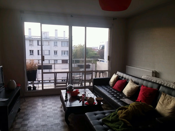 Beau T2 d'environ 50m2. Simple, fonctionnel et tres agréable à vivre. Le petit b Lyon, France Beau T2 spacieux et calme à Montplaisir Private room in rental unit vacation rental 21797490