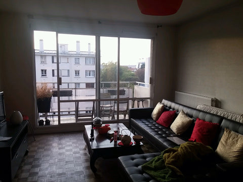 Beau T2 d'environ 50m2. Simple, fonctionnel et tres agréable à vivre. Le petit b Lyon, France Beau T2 spacieux et calme à Montplaisir Private room in rental unit vacation rental 21797490