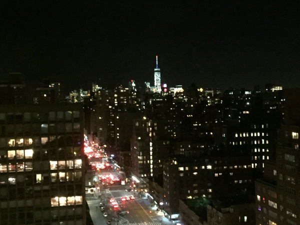 Spend your NYC vacation in this spacious, sunny studio with breath taking views  New York, NY Rental unit in New York · Studio · 1 bed · 1 bath Entire rental unit vacation rental 11573269
