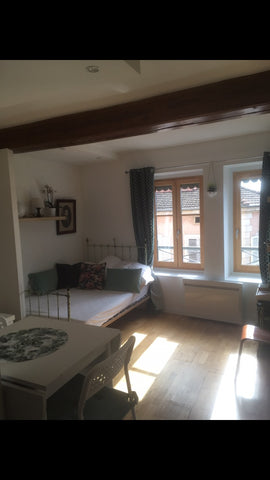 Appartement tout confort, à proximité immédiate du Centre Ville et de la Presqu' Lyon, France Charmant logement Vieux Lyon St Just Entire rental unit vacation rental 39215995