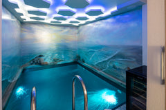 Each suite has a heated indoor pool, sauna, hot tub and spa. Necessary to mentio Sitia, Greece De President Suite Entire rental unit vacation rental 675832144512529578