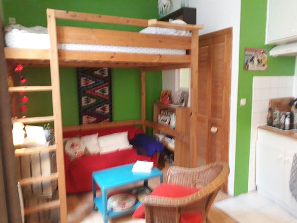 Charmant appartement de 21m2 idéale  pour accueillir deux voyageurs. Il est situ Rennes, France Charmant studio parc des buttes chaumont Entire rental unit vacation rental 20279048