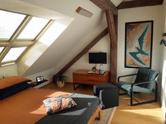 Treat yourself to a unique experience in this one of a kind apartment in Karlín,  ECO FRIENDLY KARLIN APARTMENT Entire condo vacation rental 52466655