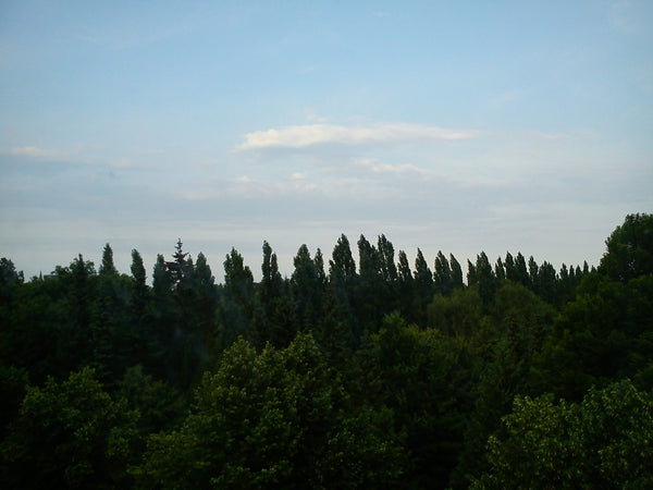 <b>The space</b><br />90 m2 of wonderful apartment with a bright living room tur Copenhagen, Denmark 90 m2 Familyfriendly PENTHOUSE 2200 Entire rental unit vacation rental 1331295