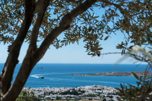 Ολοκαίνουργιο και πλήρως εξοπλισμένο σπίτι 100 τμ με μεγάλη βεράντα που προσφέρε Greece Olive Tree House in Parikia, Paros, Cyclades Entire rental unit vacation rental 19012507