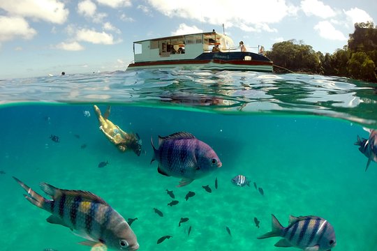 Sancho Bay Swim from Fernando de Noronha  Private Tours and Travel Guide America Noronha CITY Fernando de Noronha Destination Tour