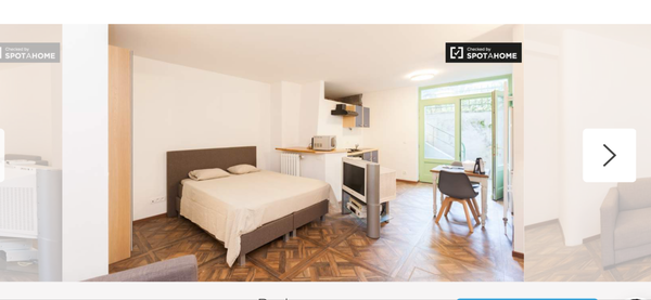 grand studio de 50m2    a 300 mètres de la place du Luxembourg tres bien équipe  Brussels, Belgium Grand studio avec accès au jardin Entire rental unit vacation rental 25597893