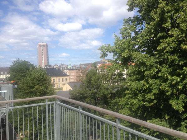 Very central in vibrant Vesterbro.Quiet street though. Sunny balcony overlooking Copenhagen, Denmark Central penthouse w/sunny balcony Entire rental unit vacation rental 3588511