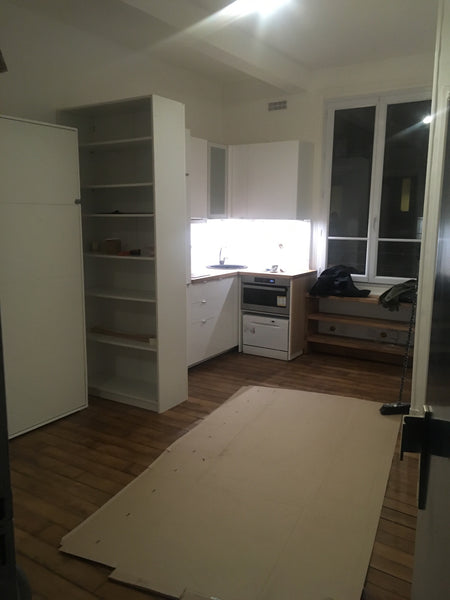 Calme et lumineux. Paris, France Studio parisien dans le XVeme. Entire rental unit vacation rental 22287263