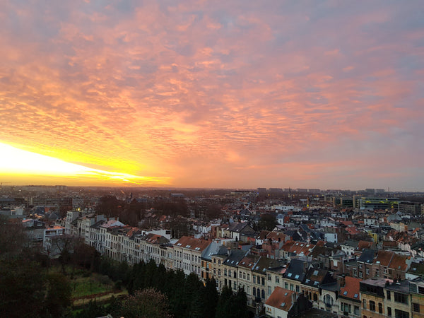 Welcome in my green apartment, in a quiet area between parks: I'm  renting my ap Antwerp, Belgium Green, bright apartment with amazing views Entire rental unit vacation rental 26193437